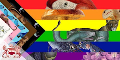 Symposium | Exploring Queerness in Natural History