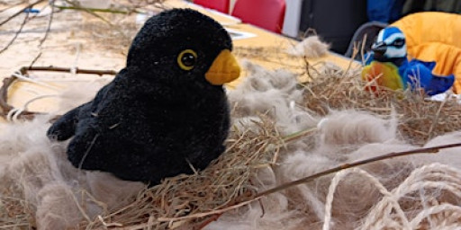 Swanwick Lakes Wildlife Tots: The Birdwatchers!