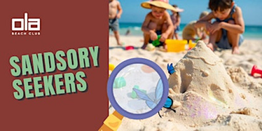 OBC - Sandsory Seekers