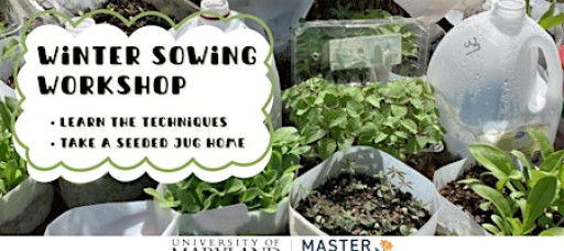 Winter Sowing Workshop