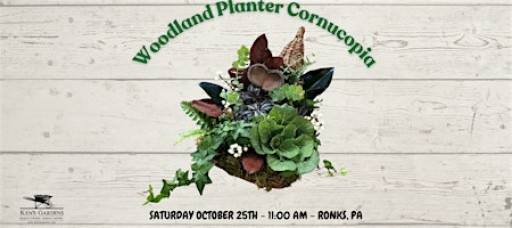 Woodland Planter Cornucopia Workshop (Intercourse Location)