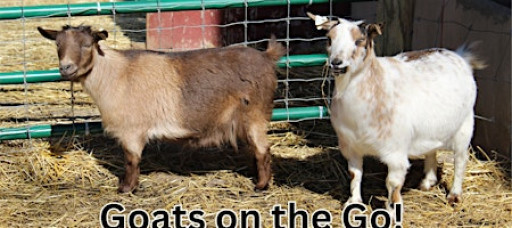 Goats on the Go!