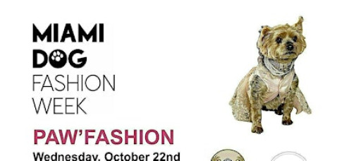 Miami Dog Fashion Week