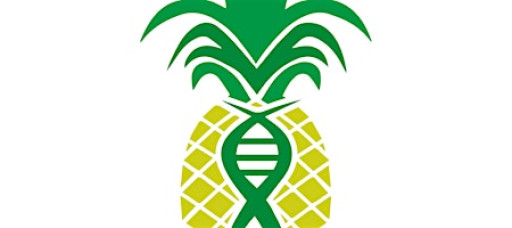 Health Optimization Club in The Villages, FL | THANKSLIVING CELEBRATION!