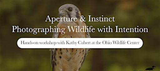 Aperture & Instinct: Photographing Wildlife with intention