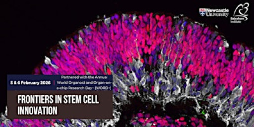 Frontiers in Stem Cell Innovation 2026