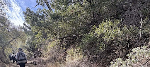 Hiking with a Naturalist