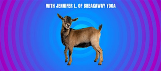 Goat Yoga at Stubborn Goat Brewing