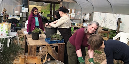 GARDENING FOR BEGINNERS - EASY FRUIT, VEGETABLES AND MORE