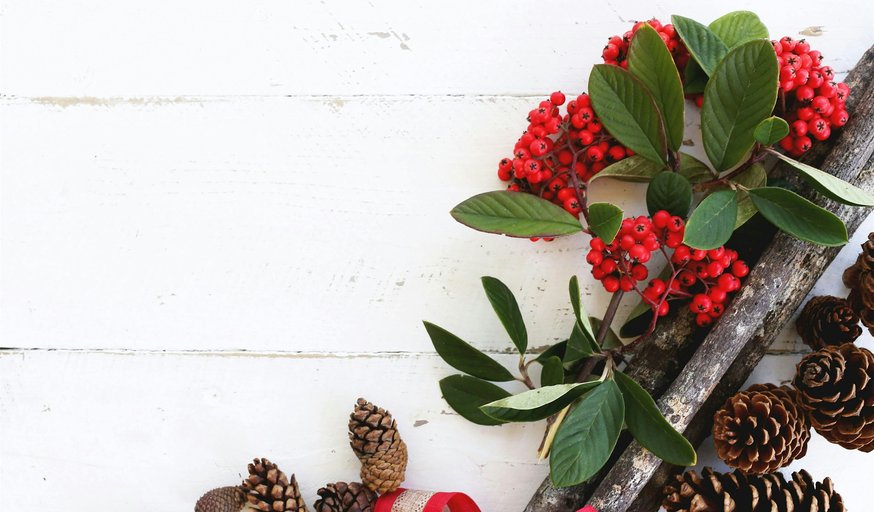 Christmas Wreath Workshop