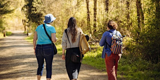 Capture & Connect: Autumn Photography Walk and Picnic in Salcey Forest