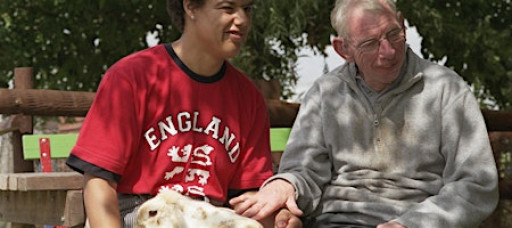 Challenge to Change – Advancing Best Practice in LD and Autism Support