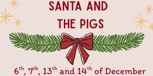Santa and the Pigs