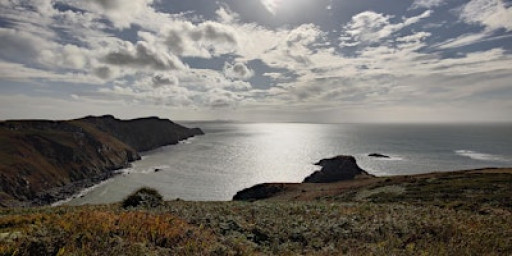 DIY Keto / Carnivore Meatup