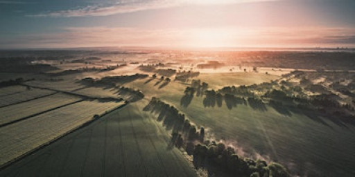 NESO Balancing Programme Event