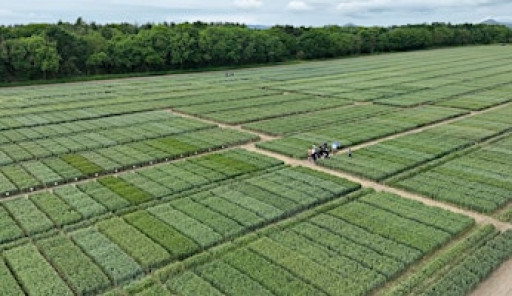 Recipes for Recovery: A LENs site visit to Balgonie Farm