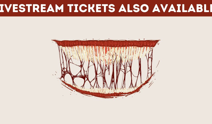 The Psychology of Horror Movies: How horror speaks to the subconscious