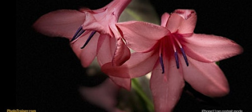 Better iPhone Photos