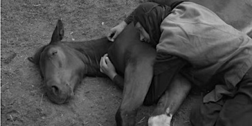 PhotoMonth! Mother Vera, Alys Tomlinson and Cécile Embleton