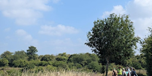 Guided Stroll of College Lake - College Lake, Friday 12 December