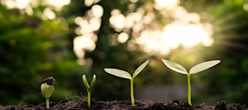 Breathe & Believe Charity Retreat (to benefit Carolynn Foundation)