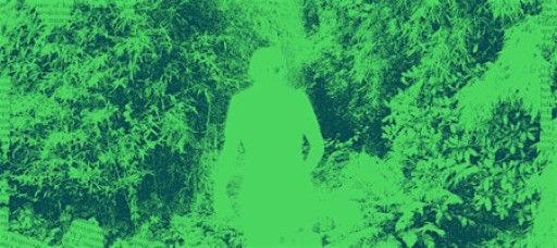 Here to Remember Live