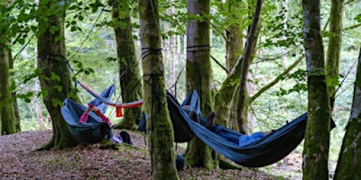 A.W.E. - Attuned With Earth November