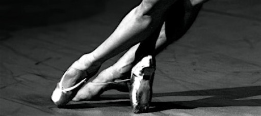 In the Round with Chamber Dance Project (Evening)