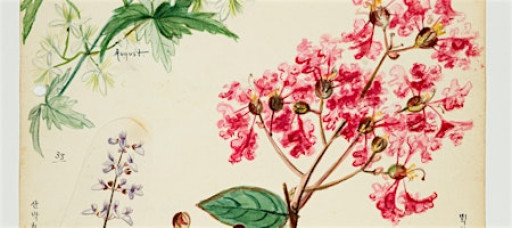 Floral Workshop at the University Museum*