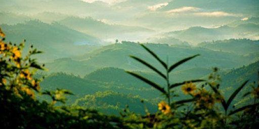 Ink & Flow: East Asian Storytelling Through Art and Dance