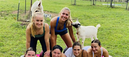 Goat Yoga Halloween!