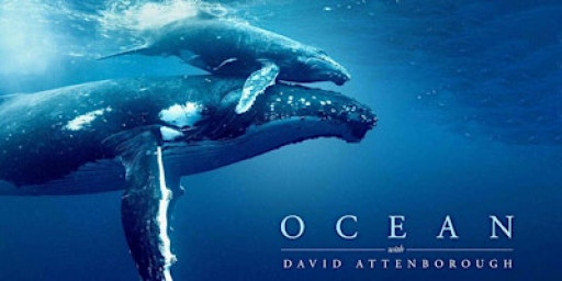 The Little Green Cinema presents David Attenborough's 'Ocean' with Q&A