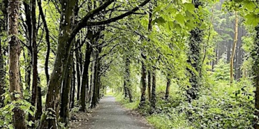 Join us for  Inclusive walks in Cairnwood - afternoon