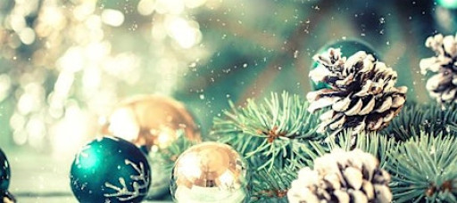 Holiday Giving Celebration- Donations