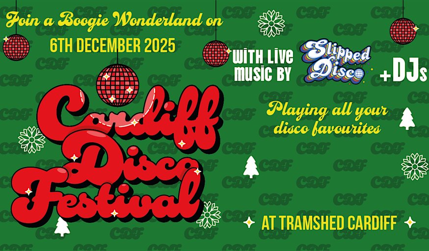 Cardiff Disco Festival Group discount booking