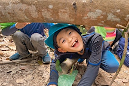 Forest Scouts Holiday Camp