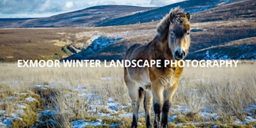 Photography Workshop : Exmoor Winter Landscape