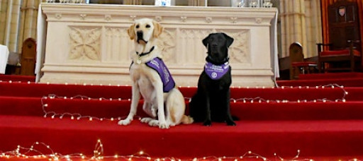 Canine Partners -  London Carol Service