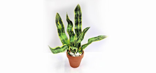 Coffee & Crafts Mornings