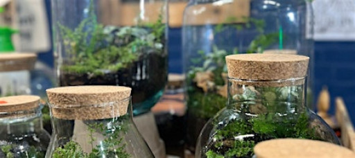Terrarium workshop with The Jungle Club