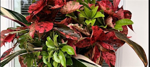 Holiday Backyard Florist