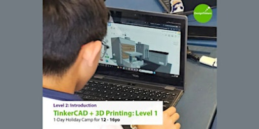 Level 1: Introduction to TinkerCAD + 3D Printing: 12-16yo