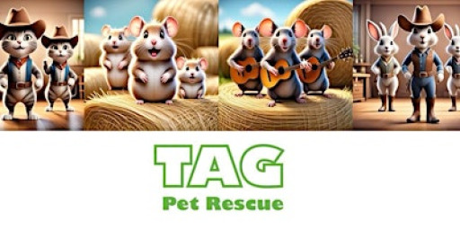 TAG Pet Rescue Charity Line Dance