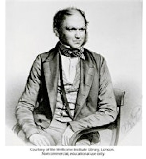 Saturday DNA! Darwin's Adventure