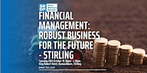 Financial Management: Robust Business for the Future - Stirling