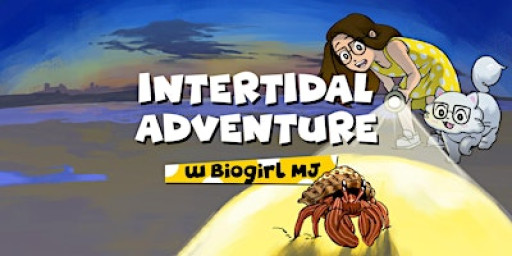 Marine Intertidal Tour with Biogirl MJ (SPECIAL PRICE!)