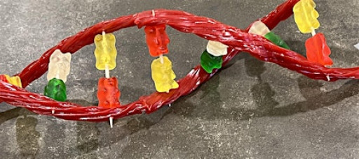 Saturday DNA! NYC - Sweet Genes