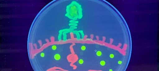 Saturday DNA! Passaic - Let it Glow!