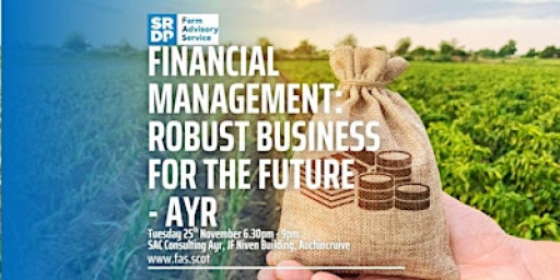 Financial Management: Robust Business for the Future - Ayr
