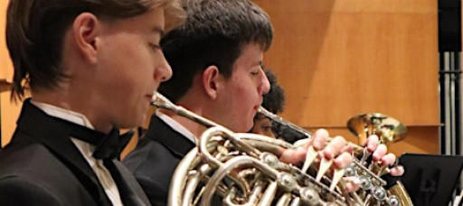 Concert Orchestra & Symphonic Orchestra in Concert